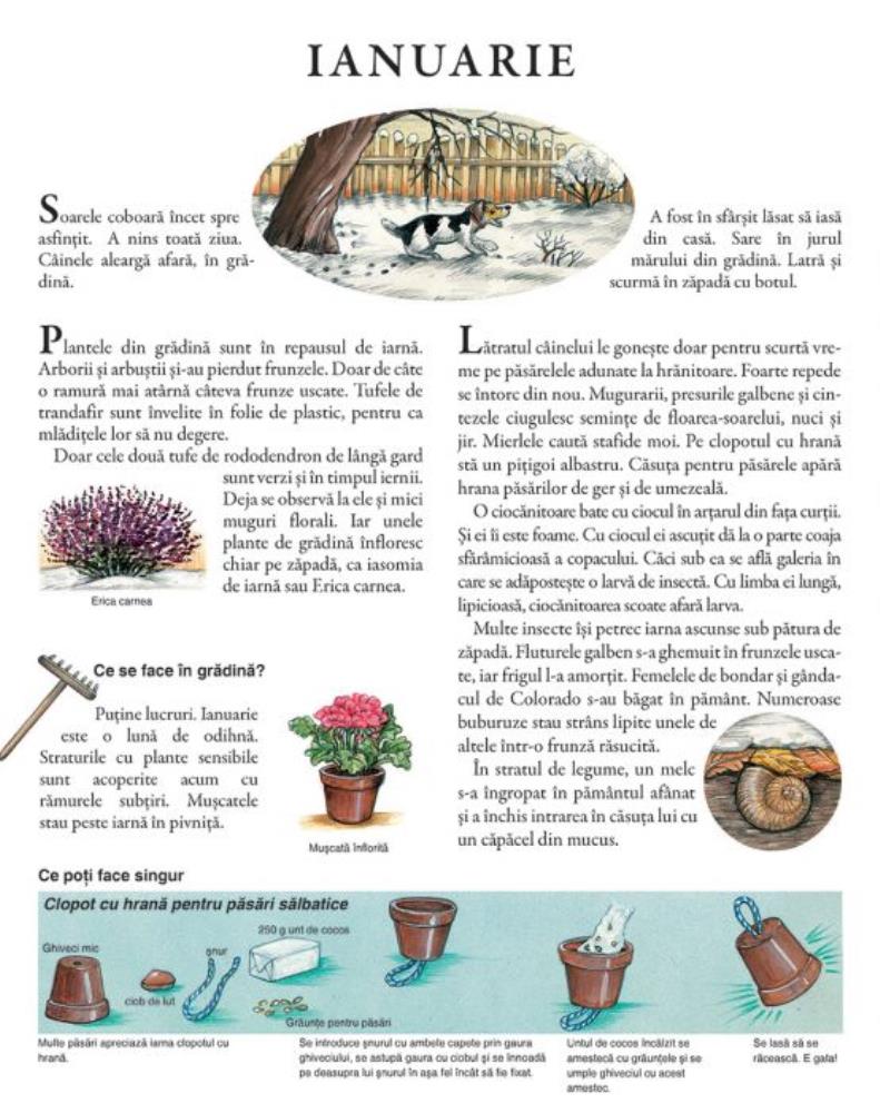 Un an in gradina mea