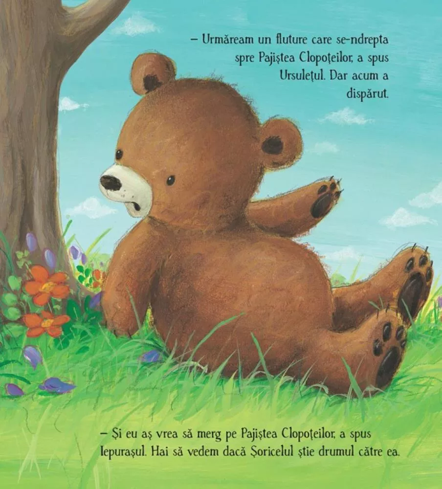 Ursuletul si fluturii