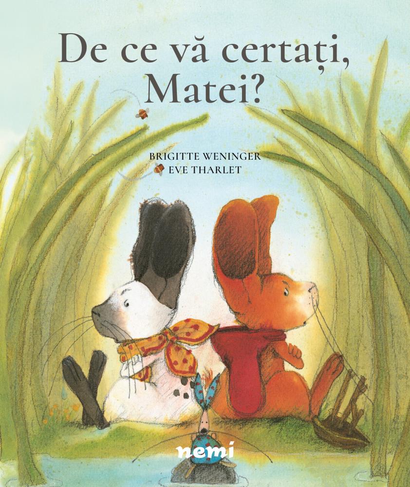Pachet Aventurile lui Matei