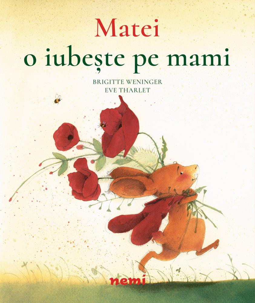 Pachet Aventurile lui Matei