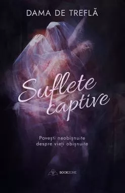 Suflete captive. Povesti neobisnuite despre vieti obisnuite (resigilat)