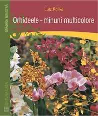 Orhideele, minuni multicolore