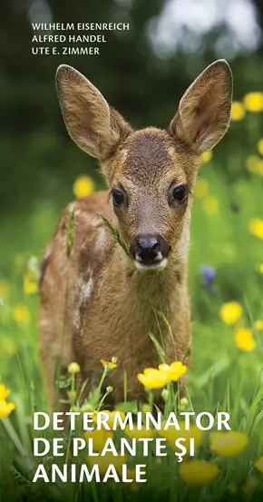 Determinator de plante si animale