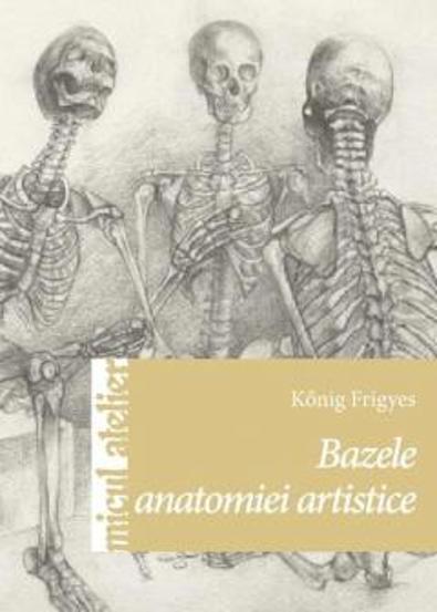 Bazele anatomiei artistice