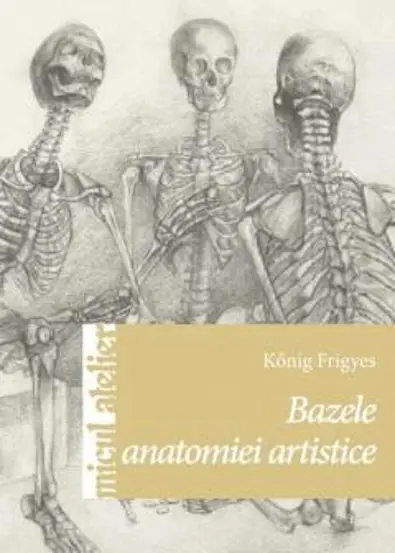 Bazele anatomiei artistice