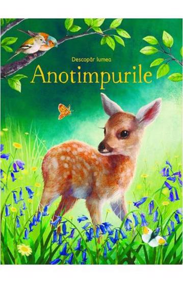 Anotimpurile (Usborne)