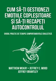 Cum sa-ti gestionezi emotiile coplesitoare si sa-ti recapeti autocontrolul