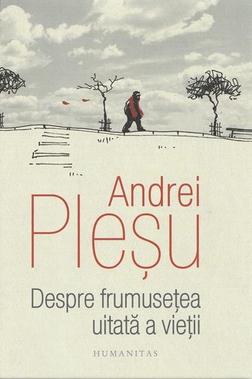 Despre frumusetea uitata a vietii 