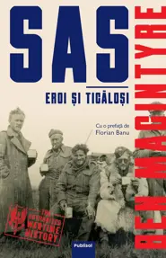 SAS - Eroi si ticalosi 