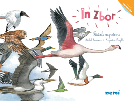 In zbor - Pasarile migratoare