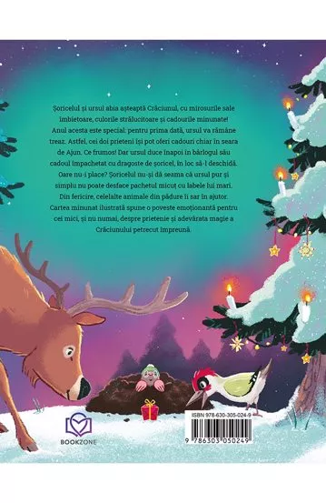 Pachet Marea aventura de Craciun