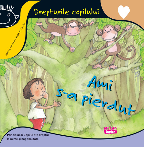 Ami s-a pierdut