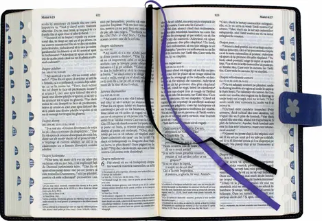Biblia NTR medie Elegant