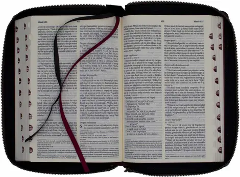 Biblia NTR medie Vintage (fermoar/capsa)