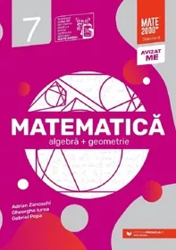 Matematica - Clasa 7 - Standard