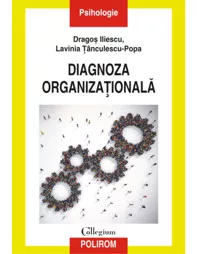 Diagnoza organizationala