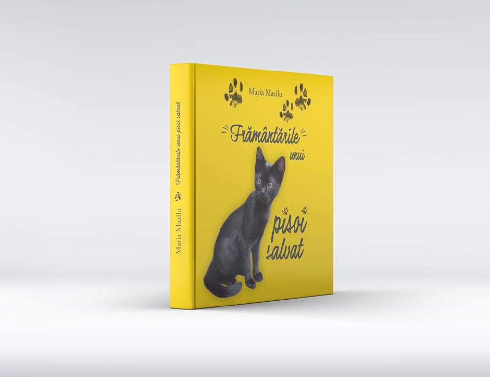 Framantarile unui pisoi salvat (resigilat)