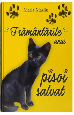 Framantarile unui pisoi salvat (resigilat)