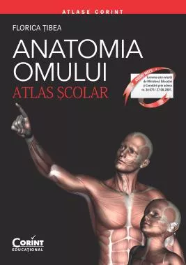 Anatomia omului. Atlas scolar (resigilat)