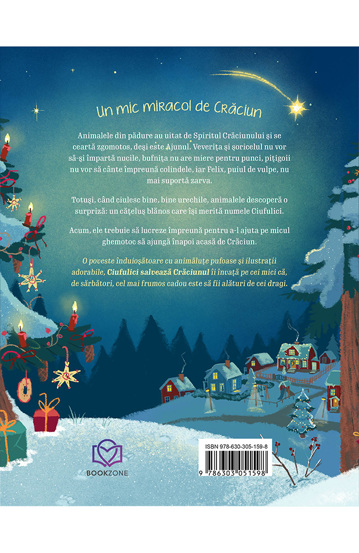 Pachet Daruri pentru micii cititori