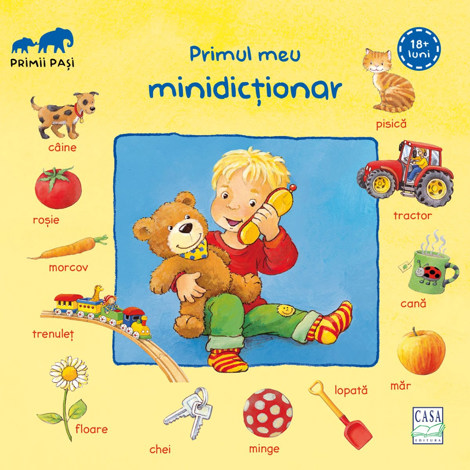 Primul meu minidictionar