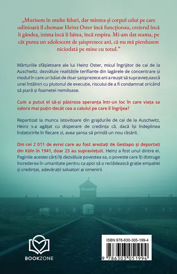Micul ingrijitor de cai  (resigilat)
