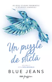 Un puzzle de sticla. Seria Fata invizibila Vol.2 (resigilat)