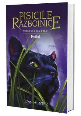 Pisicile razboinice Vol. 15: Puterea celor trei. Exilul (resigilat)