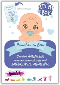 Cartonașe "Primul an cu Bebe" - Băiețel