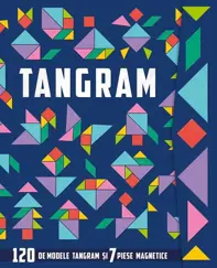 Tangram: 120 de modele si 7 piese magnetice