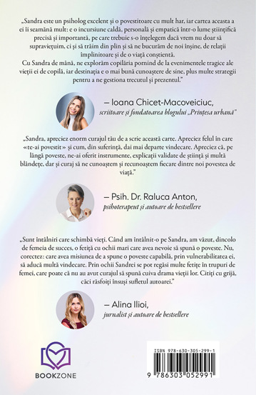 Copilul din oglinda (resigilat)