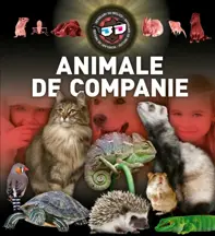 Animale de companie 3D