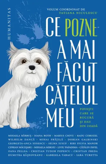 Ce pozne-a mai facut catelul meu