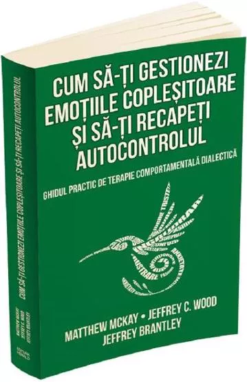 Cum sa-ti gestionezi emotiile coplesitoare si sa-ti recapeti autocontrolul (resigilat)