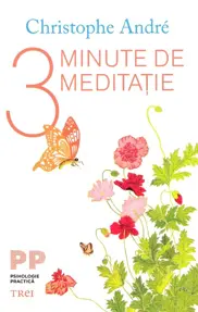  3 minute de meditatie