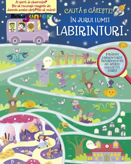 LABIRINTURI IN JURUL LUMII