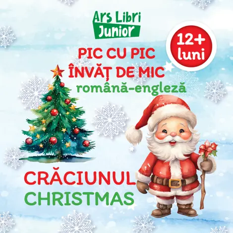 Pic cu pic invat de mic - Craciunul