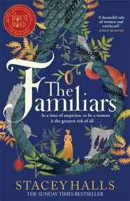 The Familiars : The dark, captivating Sunday Times bestseller and original break-out witch-lit novel