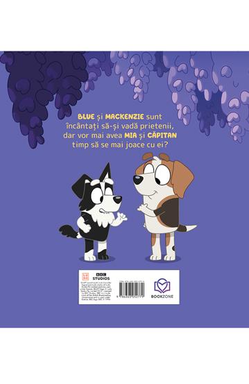 Pachet Marea colectie de aventuri Bluey 