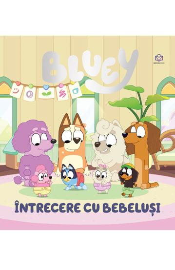 Pachet Micile mari lectii ale lui Bluey
