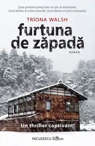 Furtuna de zapada