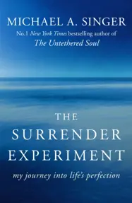 The Surrender Experiment : My Journey into Life&#39;s Perfection