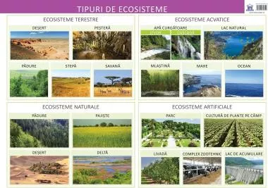 Tipuri de ecosisteme
