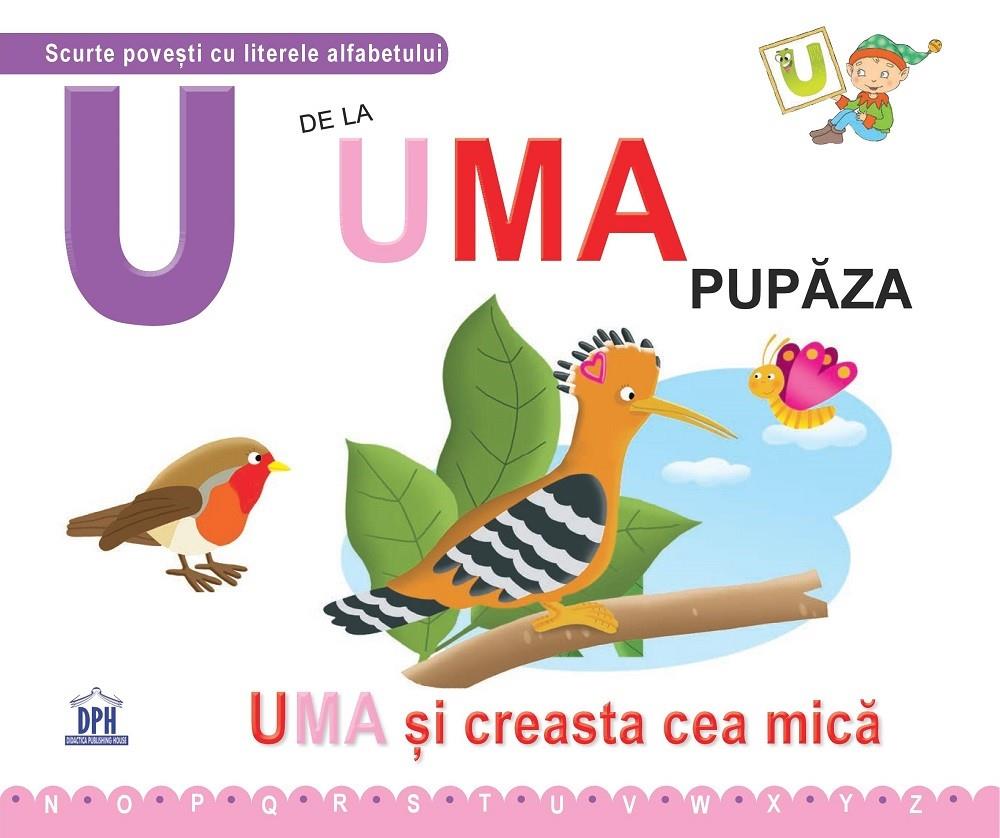 U de la Uma, pupaza - Cartonata