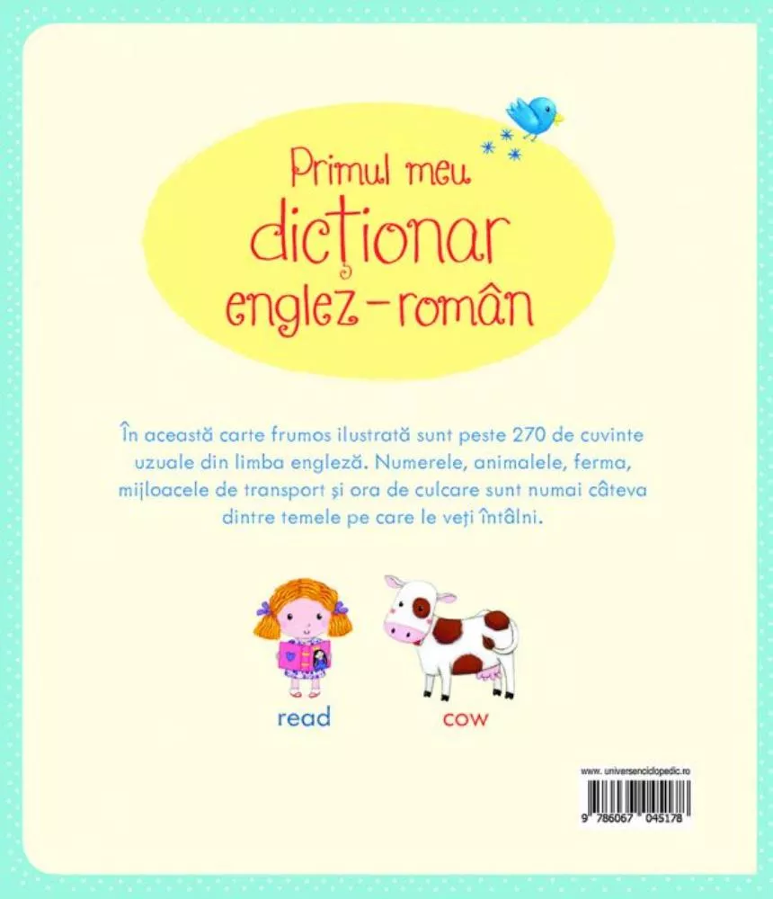 Primul meu dictionar englez-roman (Usborne)