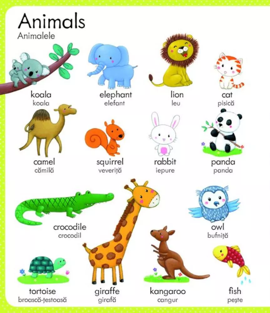 Primul meu dictionar englez-roman (Usborne)