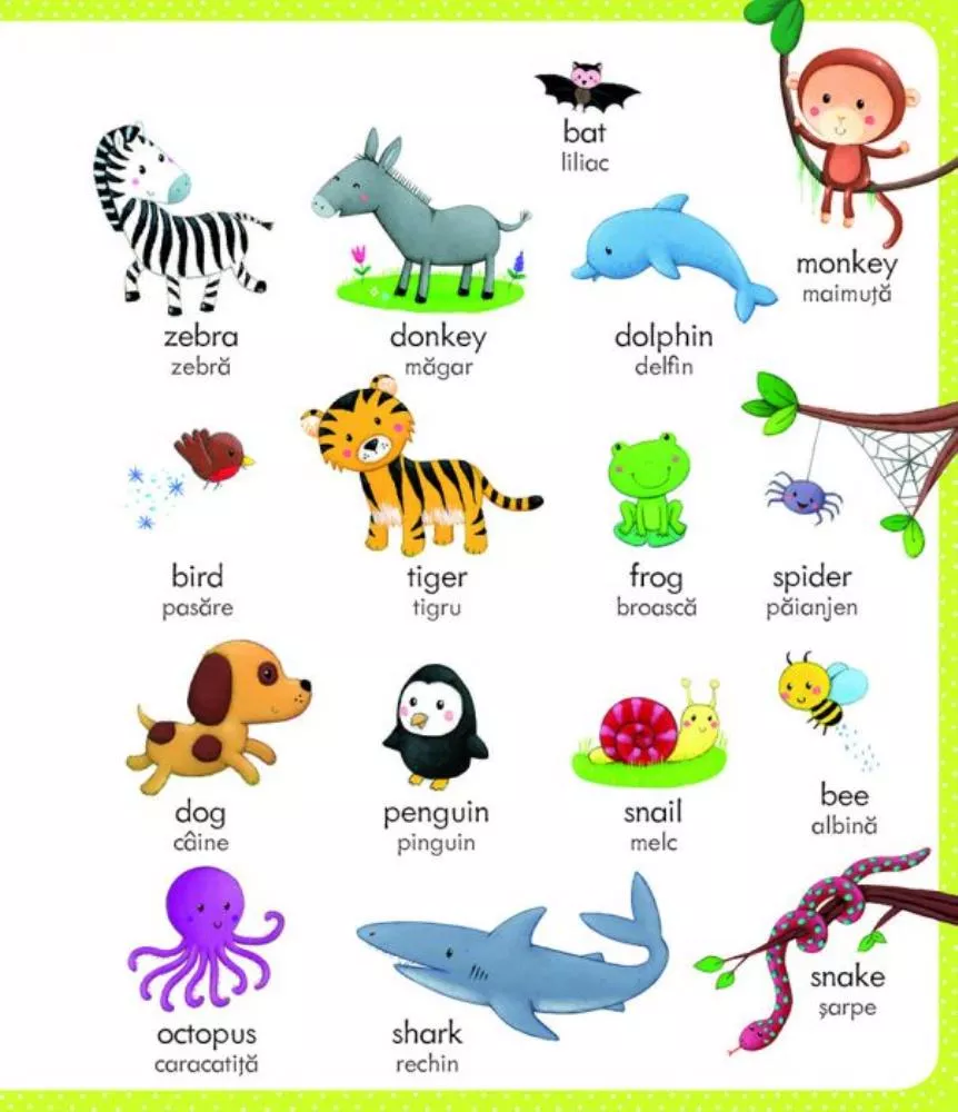 Primul meu dictionar englez-roman (Usborne)