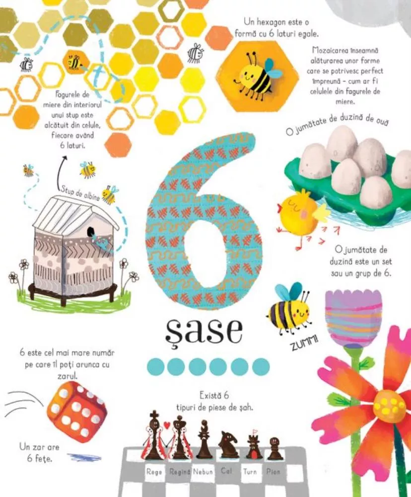 Marea carte a numerelor (Usborne)