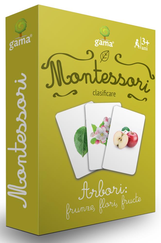 Arbori: frunze, flori, fructe