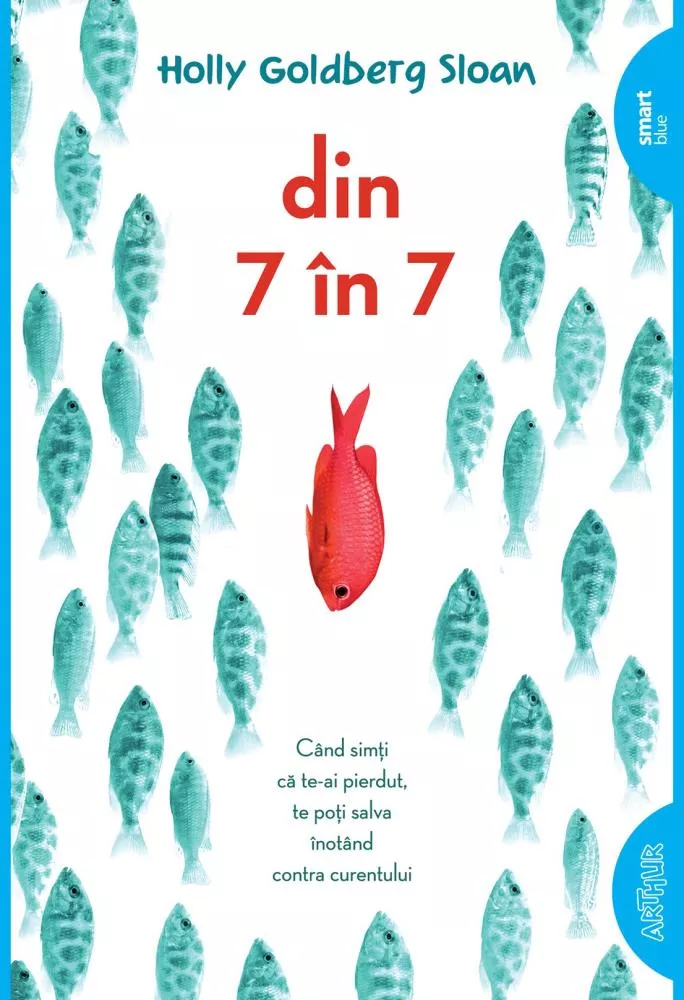 Din 7 in 7